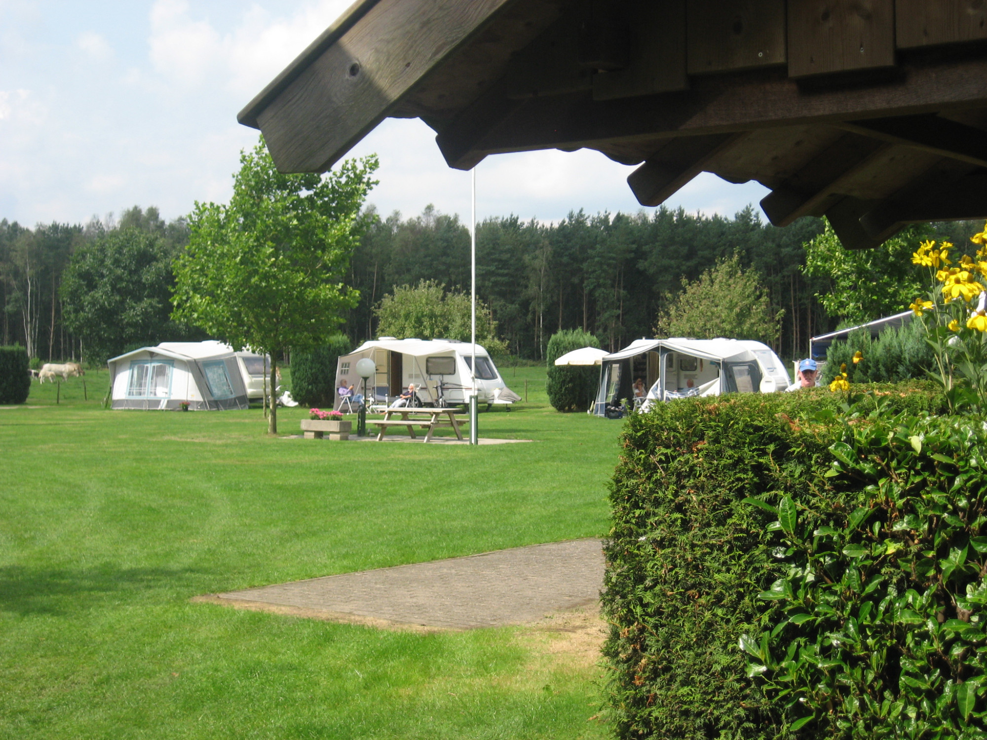 Camping in Vorden