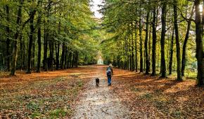 Zin om hier en wandeling te maken? Trek je wandelschoenen aan!