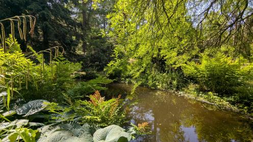 Pinetum-PXL_20250612_120211931.MP.jpg